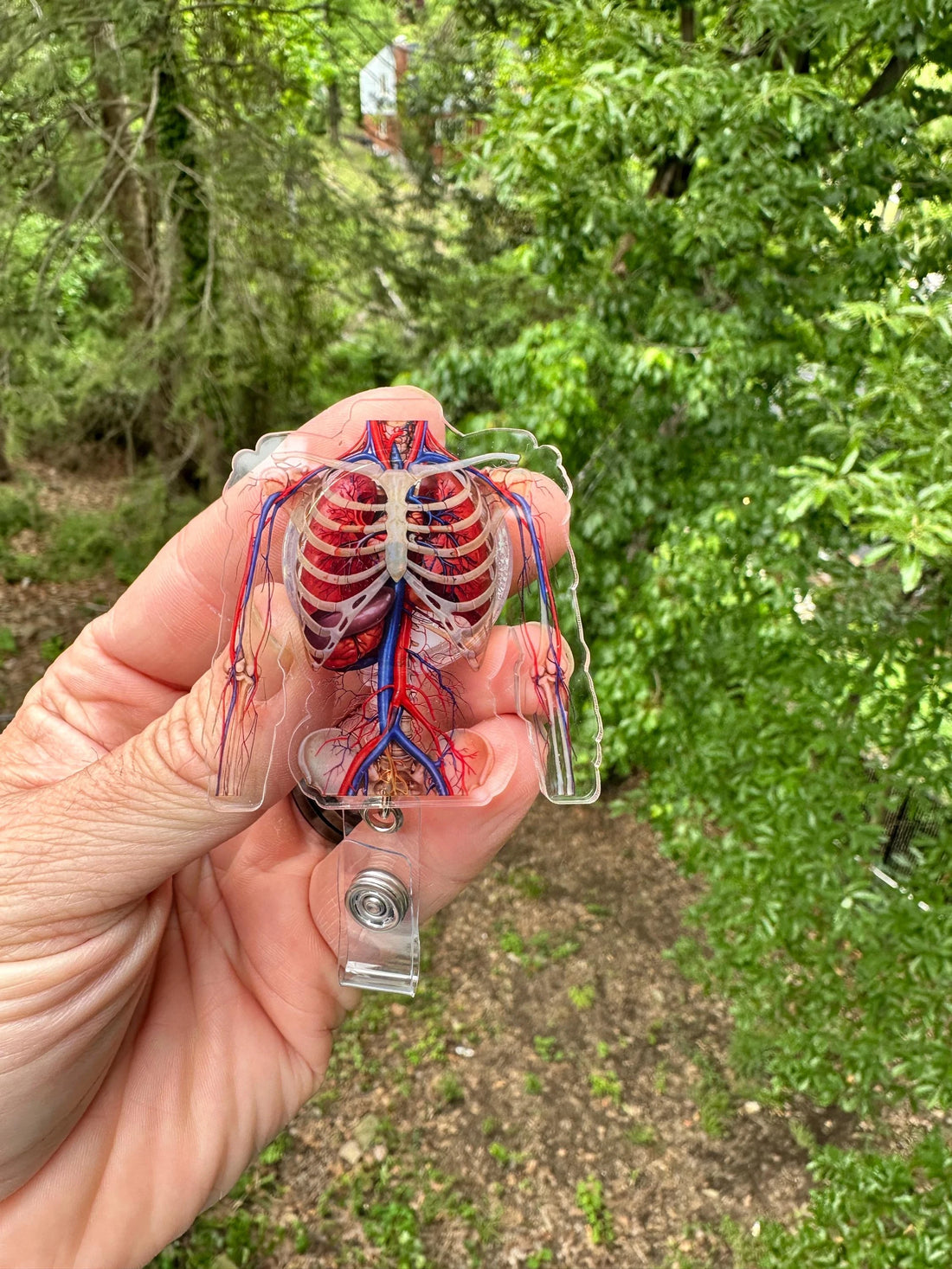Anatomical Ribcage Badge Reel Skeleton ID Holder, Orthopedic Nurse Clip