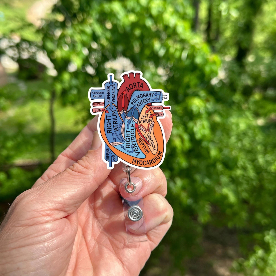 Anatomical Heart Badge Reel, Cardiology Nurse ID Holder, Retractable Clip, Biology Accessory