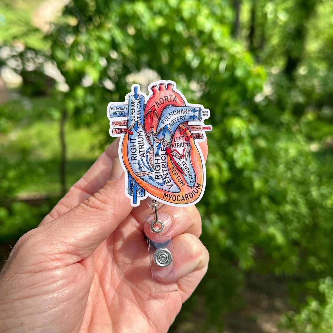 Anatomical Heart Badge Reel, Cardiology RN ID Holder, Cardiovascular Accessory Clip