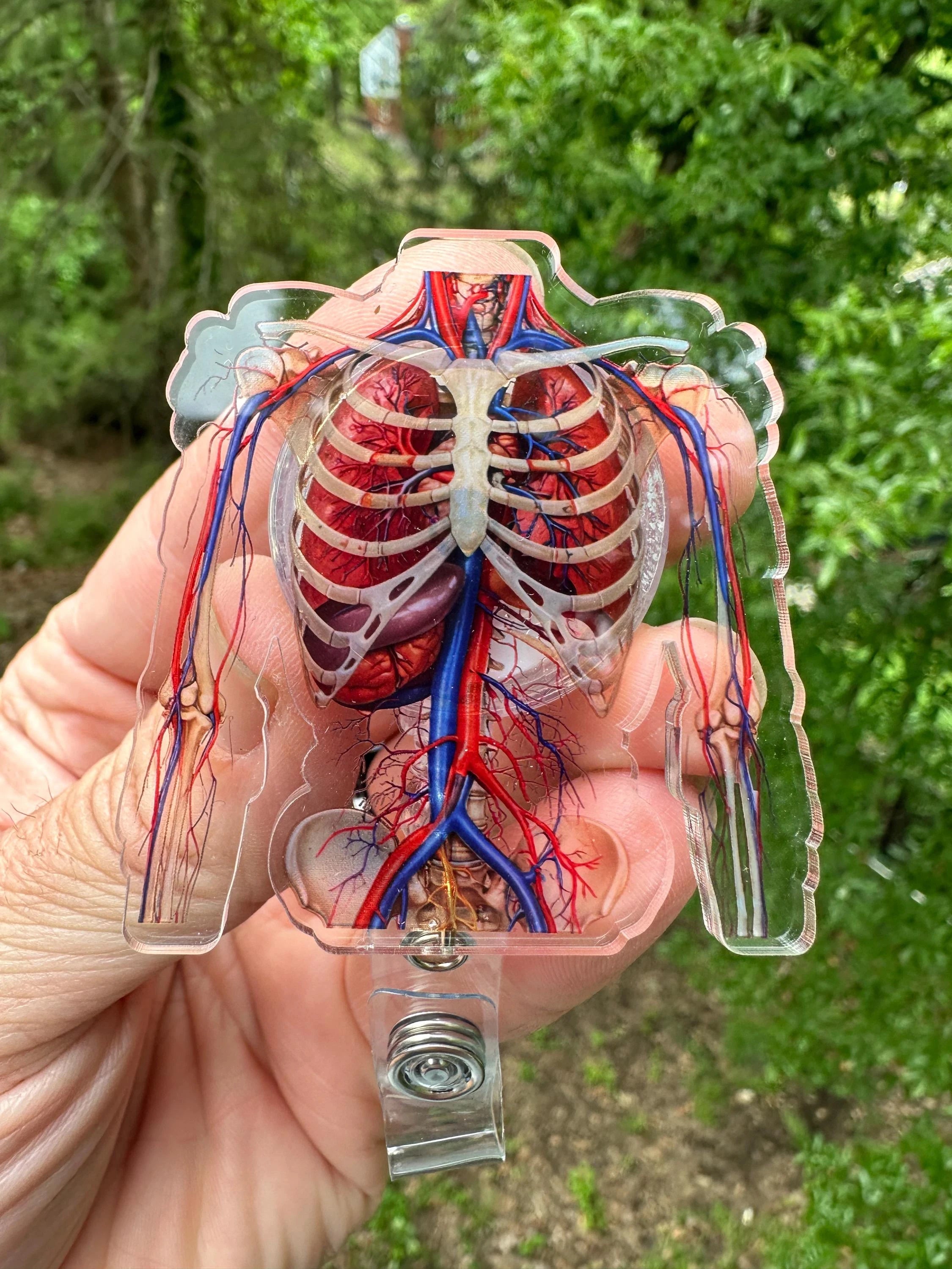 Anatomical Ribcage Badge Reel Skeleton ID Holder, Orthopedic Nurse Clip