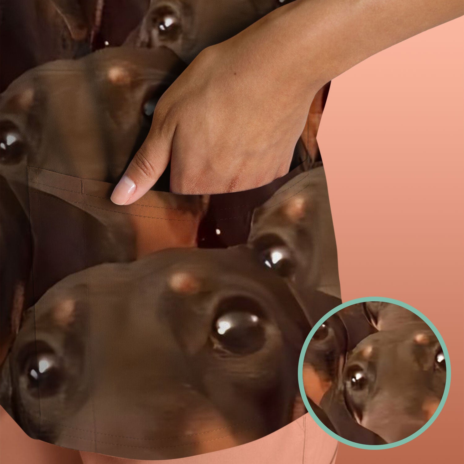 GENERAL:5.jpg